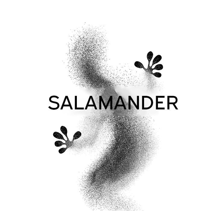 Salamander - Chapter 7 41
